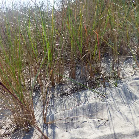 Haus Niedersachsen 1 アパート *